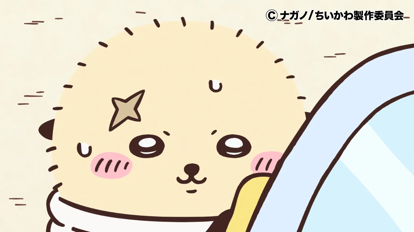 アニメ公式Xの第365話「洗車/パンフレット」見逃し配信告知画像。アニメ『ちいかわ』第365話「洗車/パンフレット」に対応する画像