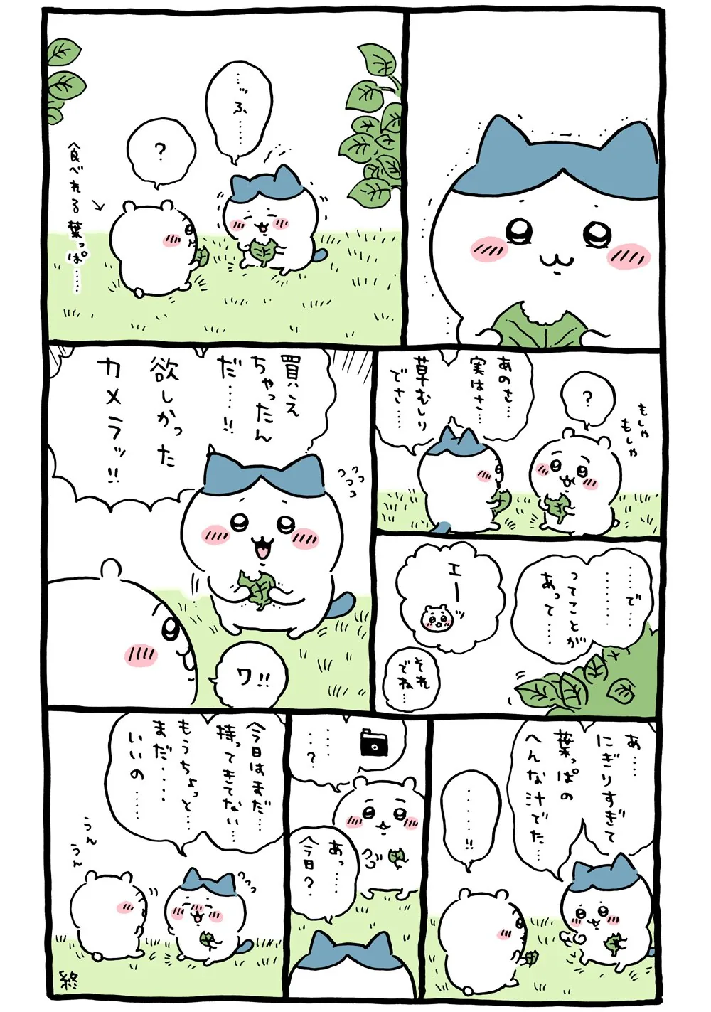ハチワレのカメラが描かれた原作漫画「🍃 カメラ購入報告、食べれる葉っぱ」