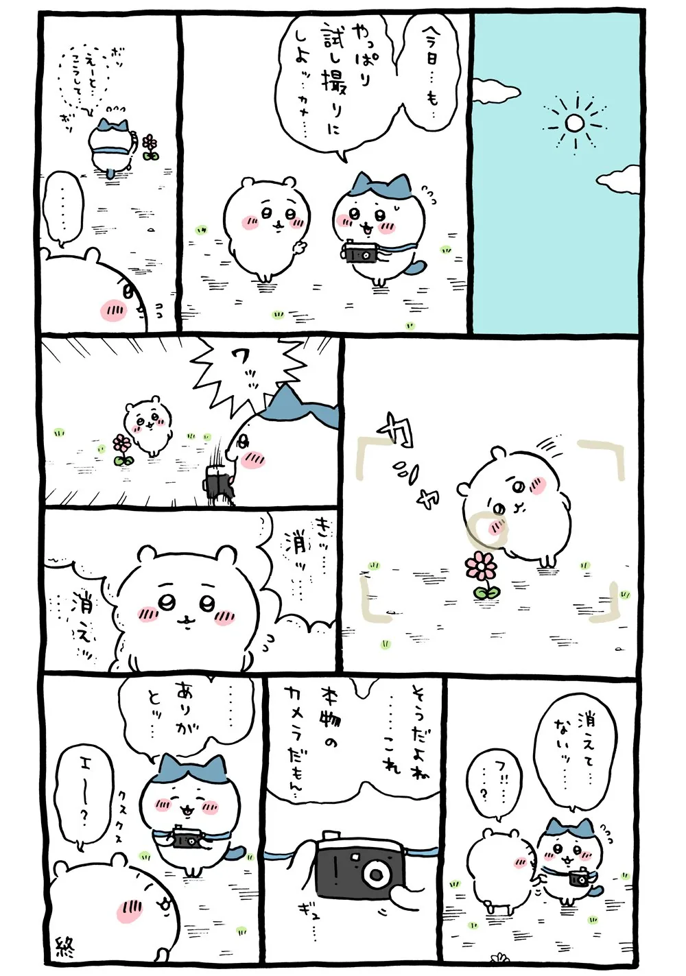 ハチワレのカメラが描かれた原作漫画「📷 本物のカメラ」