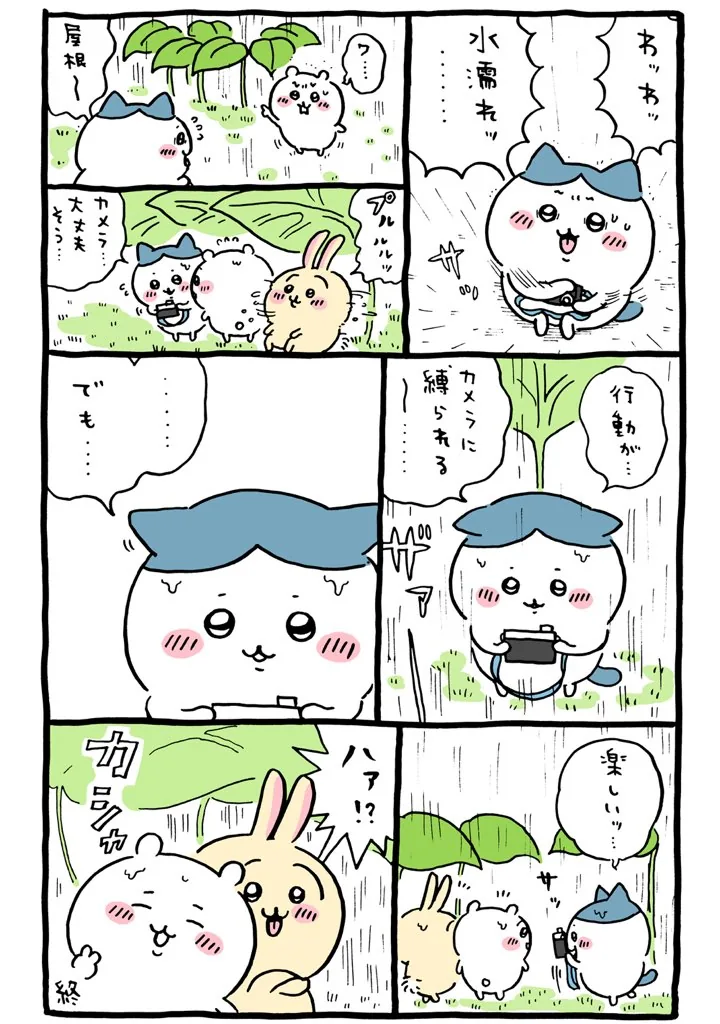 ハチワレのカメラが描かれた原作漫画「🌱 行動がカメラに縛られる～」