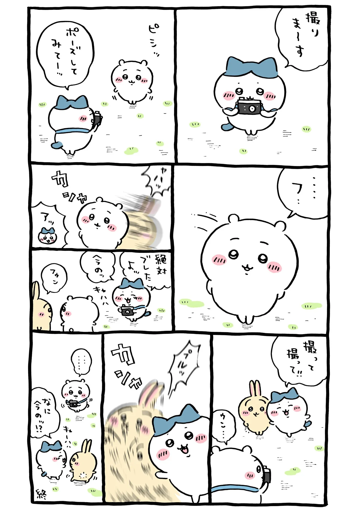 ハチワレのカメラが描かれた原作漫画「🌙写真取り合いっこ」