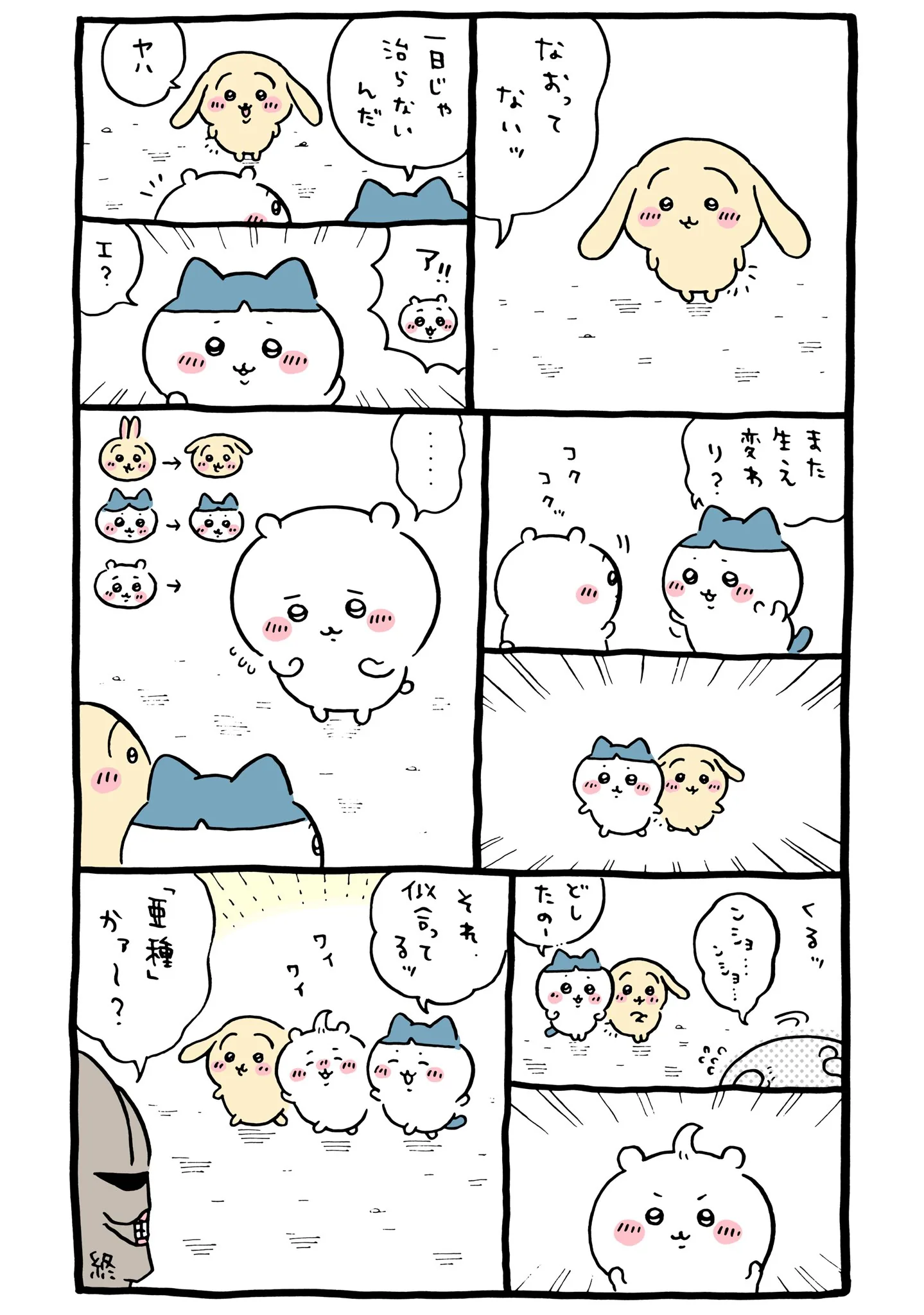 作者公式Xに掲載された第281話の原作投稿画像（1枚目）。アニメ『ちいかわ』第281話「こんがらがった／亜種」に対応する画像