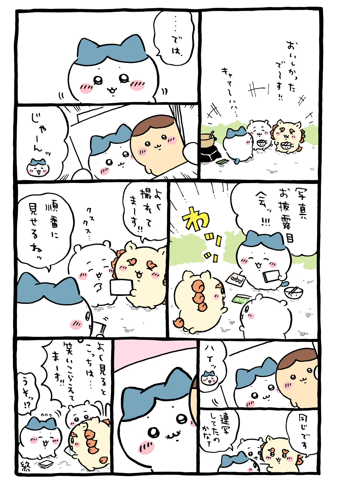 ハチワレのカメラが描かれた原作漫画「📸写真お披露目会」