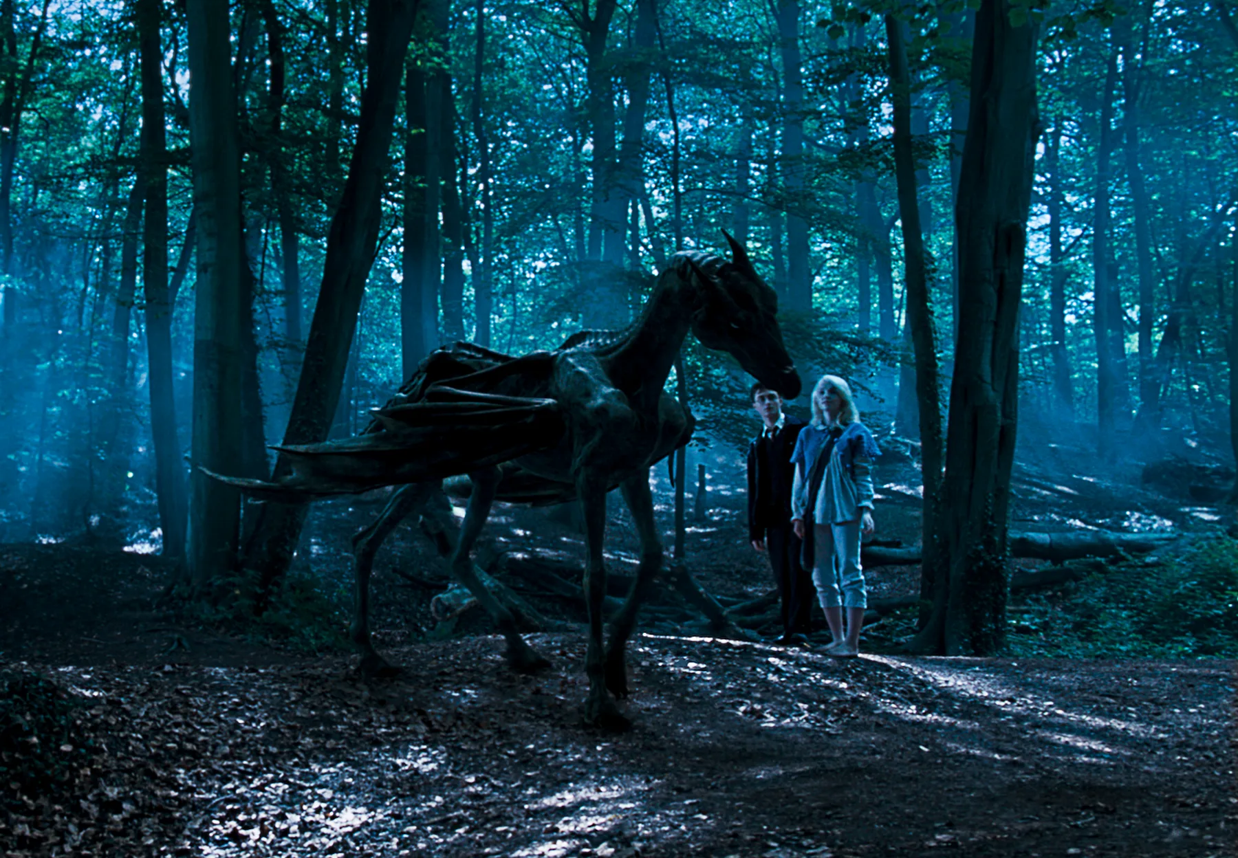 翼を持つ馬型の魔法生物セストラルを描いた公式ビジュアル
