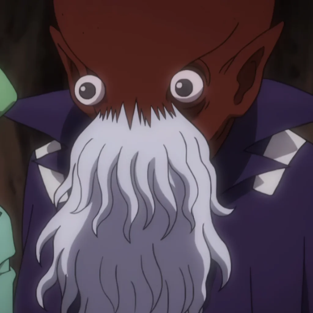タコ型　引用『HUNTER×HUNTER』冨樫義博