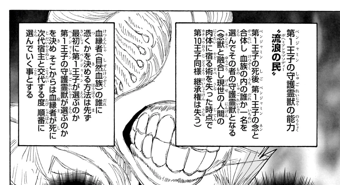 No.417:ベンジャミンの死後、血縁者を守護する念獣の仕組みが説明される。
