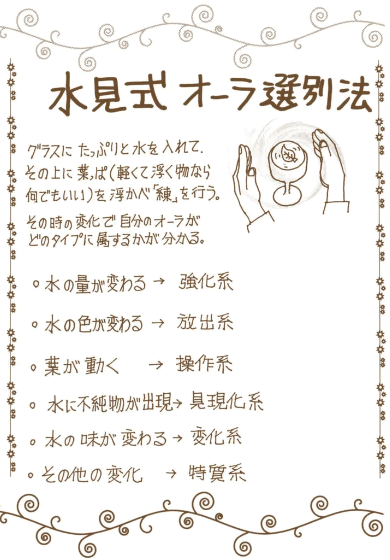 念能力の資料画像