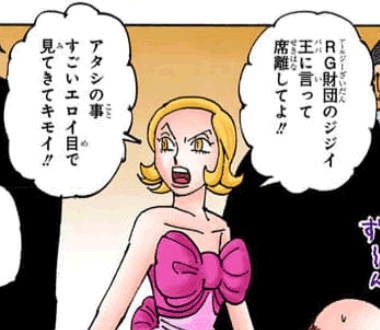 予想される隠し子の資料画像