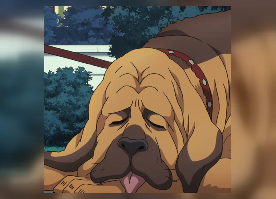 広瀬家の犬・ポリス