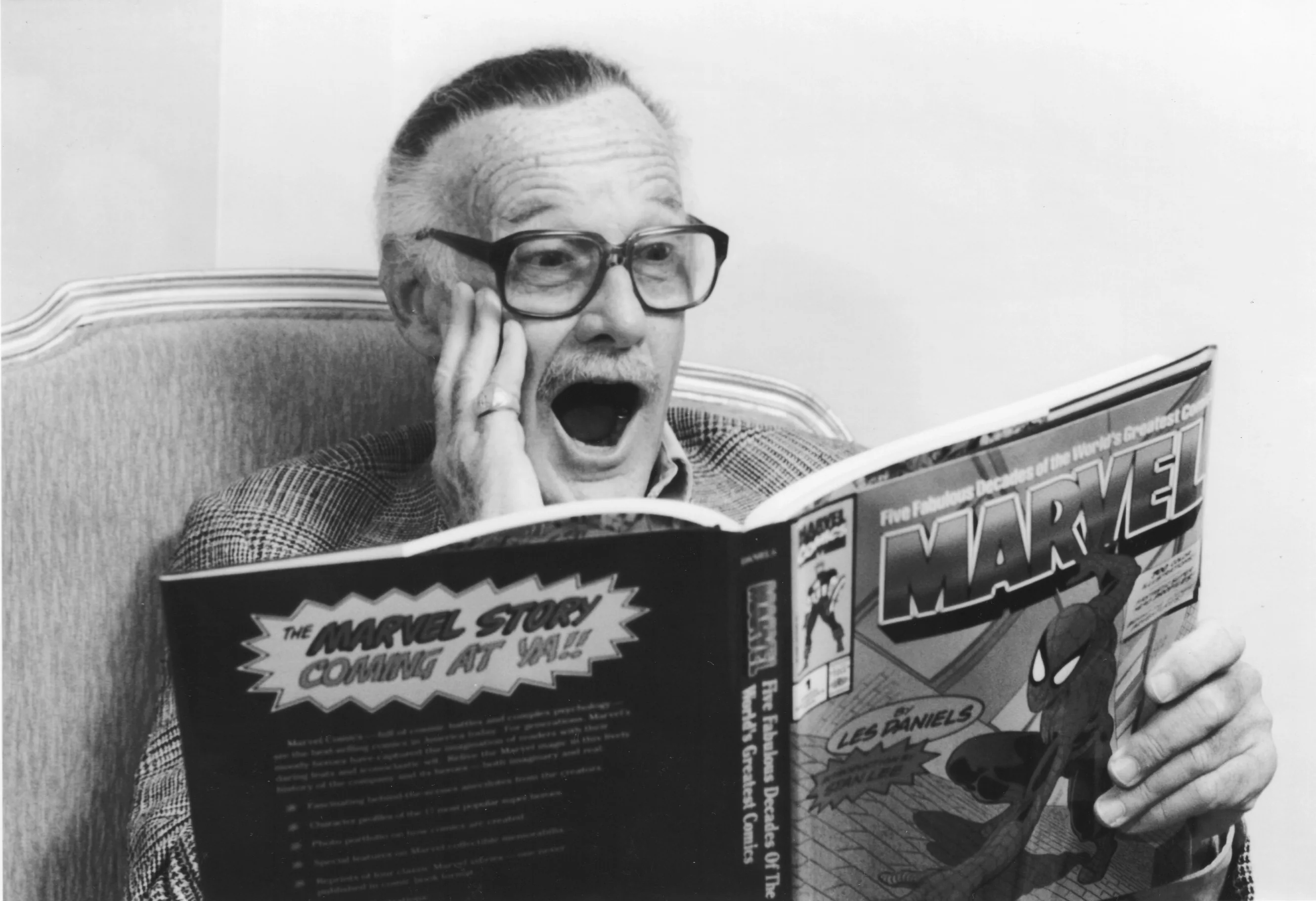 マーベルの歴史を語るスタン・リーの公式ビジュアル