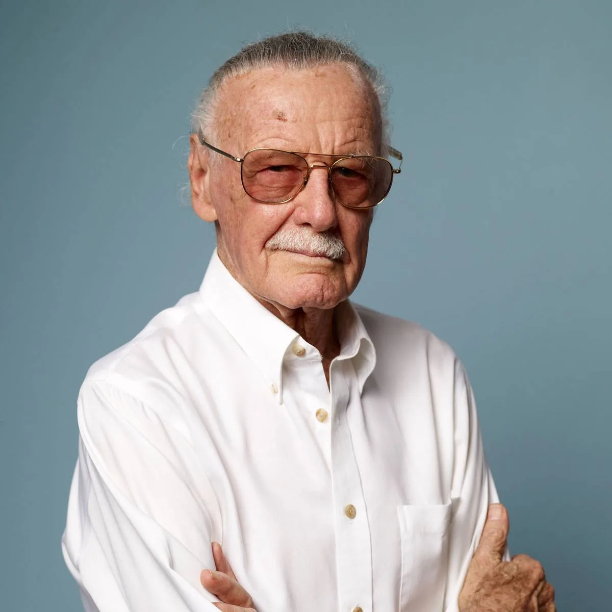 スタン・リーの公式ポートレート