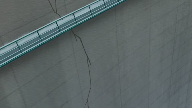 少年探偵団・灰原哀・阿笠博士